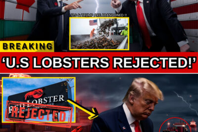 U.S. Lobster Shipments Rejected as Canada’s Premium Catch Secures Billion-Dollar Deals