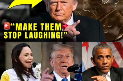 Trump’s Nobel Fantasy Backfires as Viral Clip Sparks Global Laughter.