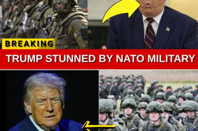 T.R.U.M.P ERUPTS IN RAGE: NATO’S AUDACIOUS CHECKMATE ON GREENLAND — INSIDER EXPLOSION ROCKS WHITE HOUSE POWER STRUGGLE.