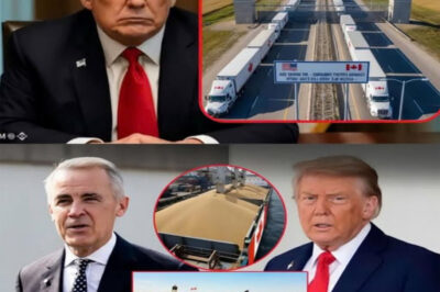 08:30 a.m., January 11, 2026 — T.r.u.m.p pulled the tariff trigger, unleashing so-called “killer” duties worth $18–22 billion a year on Canadian agricultural exports. What Washington didn’t realize was that the battlefield was already empty.