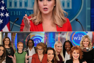 A brewing legal battle is quickly turning into a high-stakes media drama. As reports swirl around an eye-popping $800 million lawsuit, Karoline Leavitt is making it clear she has no interest in quiet resolutions. Insiders claim The View attempted to defuse the situation behind the scenes—but Leavitt’s blunt response, summed up in two cutting words, only intensified the spotlight. Why is she refusing to back down, and what happened that pushed the dispute to this point? With tensions escalating and stakes rising by the day, this showdown may be far from over—and the next move could be the most revealing yet.