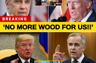 JUST IN: Canada UNMASKS Trump’s Lumber Tariff Failure – U.S. Can’t Replace Canadian Wood