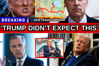 SOCKING : Canada DROPS $262M ARCTIC RAIL BOMB — Bypasses U.S. Ports Overnight — TRUMP SHOCKED
