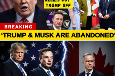 TRUMP STUNNED as ALLIES PULL THE PLUG — Canada DROPS Starlink, Europe GOES INDEPENDENT