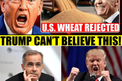Global Buyers Reject USA — Canada Wins Big in Wheat Trade!!