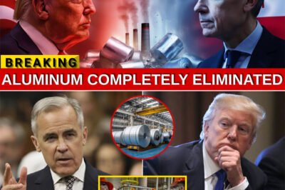 TRUMP LOSES IT as Canada Cuts Off the U.S. — EU & Asia Lock In a MASSIVE Aluminum Deal!