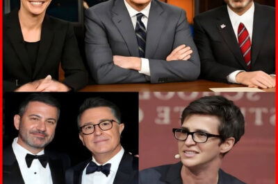 Rachel Maddow, Stephen Colbert, and Jimmy Kimmel Launch Independent Newsroom: A Media Revolution Begins