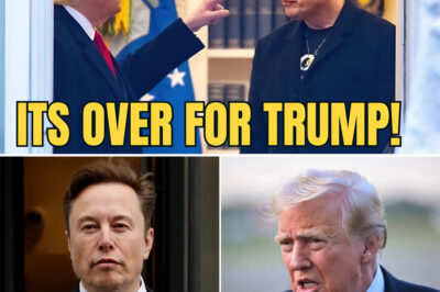 Elon Musk SHOCKING DECISION Just DOOMED Trumps Midterms… New Polls Are DEVASTATING