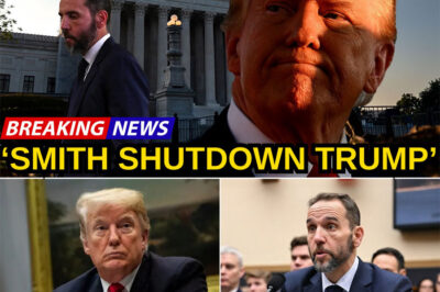 JUST IN: 5 MINUTES AGO: The most important moment of Jack Smith’s deposition reveals Trump’s involvement