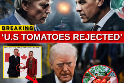 TRADE QUAKE ERUPTS: U.S. Tomato Exports Implode as Canada Slams The Border Shut
