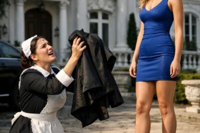 Maid Begs Her Billionaire Boss to Pretend And Dress as a Housemaid — What She Saw Will Break You