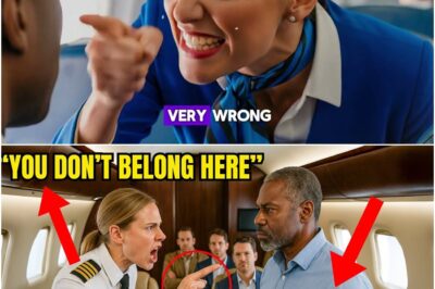 Black CEO Denied First Class Seat — 12 Minutes Later, He Grounds the Plane and Fires the Pilot