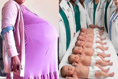 A Mother Gives Birth to 10 Babies, and Doctors Realize One of Them Isn’t a Baby. What a Huge Surprise!…