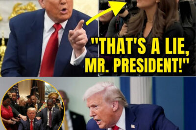 BREAKING: FORMER WHITE HOUSE FIGURE appeared visibly flustered after a reporter fact-checked his statements in real time, challenging him directly during a public exchange.