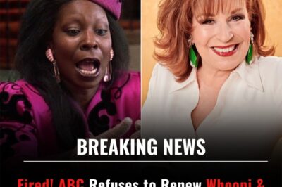In a dramatic shake-up that no one saw coming, ABC is reportedly cutting ties with longtime personalities Whoopi Goldberg and Joy Behar, declaring it’s time to “clean house.” The unexpected move has sent shockwaves through fans and the industry alike. What led to this sudden decision—and what’s really happening behind the scenes?