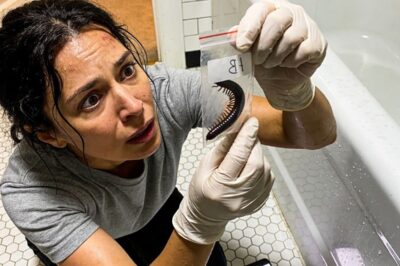 My 10-year-old daughter always ran to the bathroom as soon as she got home from school. When I asked her, “Why do you always shower right away?” she smiled and said, “Because I like to be clean.” However, one day, while cleaning the drain, I found something. The moment I saw it, my whole body started trembling, and immediately…