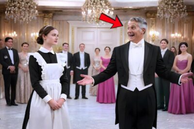 “I will kneel before you if you can speak five languages,” the millionaire mocked… and everyone was amazed.