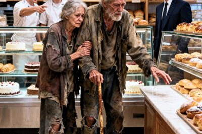“Do you have an expired cake for my wife?” the homeless man asked… But the millionaire saw everything…