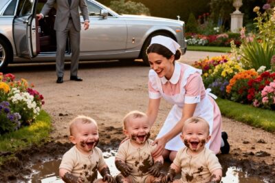 The millionaire fired the nanny because she had let his children play in the mud… but he eventually faced the truth.