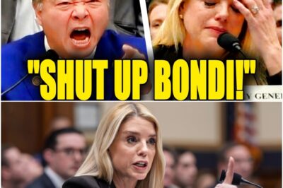 Ted Lieu SCREAMS At Pam Bondi TO HER FACE After She Lies Under Oath!