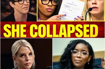 83 SECONDS OF TOTAL SILENCE: The moment the “Law and Order” facade collapsed.