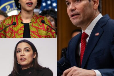 “If You Hate It So Much, Leave?” — The Senate Explosion That Split America in Two.