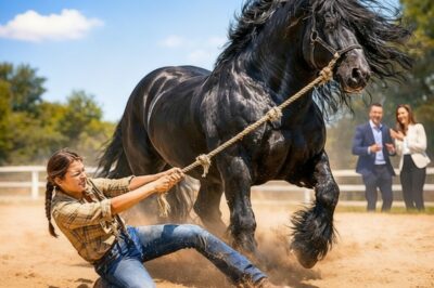 WHAT THE PARROT REVEALED JUST BEFORE THE WEDDING STARTED LEFT THE PRIEST PARALYZED