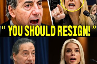 NEVER BEFORE THIS: Rep. Raskin Questions Pam Bondi After Heated Judiciary Hearing Confrontation.