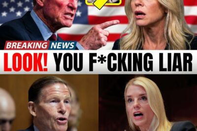 Blumenthal EXPOSES Pam Bondi: “This Witness Changed Her Story AFTER Your Agents Visited Her”.