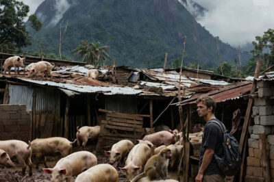 THE PLACE HE HAD LEFT TO DIE NO LONGER LOOKED LIKE AN ABANDONED FARM… IT LOOKED LIKE THE SCENE OF A MIRACLE THAT HAD NO EXPLANATION.