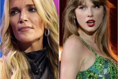 Tensions are exploding after Megyn Kelly publicly calls for a boycott of Taylor Swift—but the real story goes far deeper than a single appearance. What was meant to be a charity event tied to Gaza has suddenly turned into a cultural flashpoint, with critics and supporters clashing online. What exactly happened at the event—and why is it sparking such a fierce reaction now?