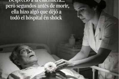 👉“Despreció a la enfermera… pero segundos antes de morir, ella hizo algo que dejó a todo el hospital en shock”