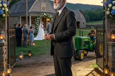 When my son got married, I kept it a secret that he had inherited his late mother’s farm. Only later did I realize it had been the best decision of my life.