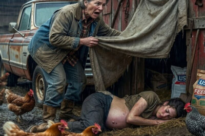 I went to visit my pregnant daughter at her husband’s house… and found her sleeping under the chicken coop like an animal.