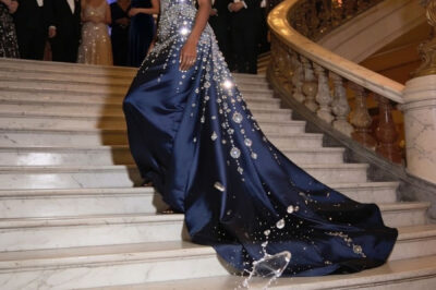 The wife of a powerful man invited her black maid to a gala as a joke, but she appeared stunning in a $2 million dress and left everyone speechless by revealing her true identity.